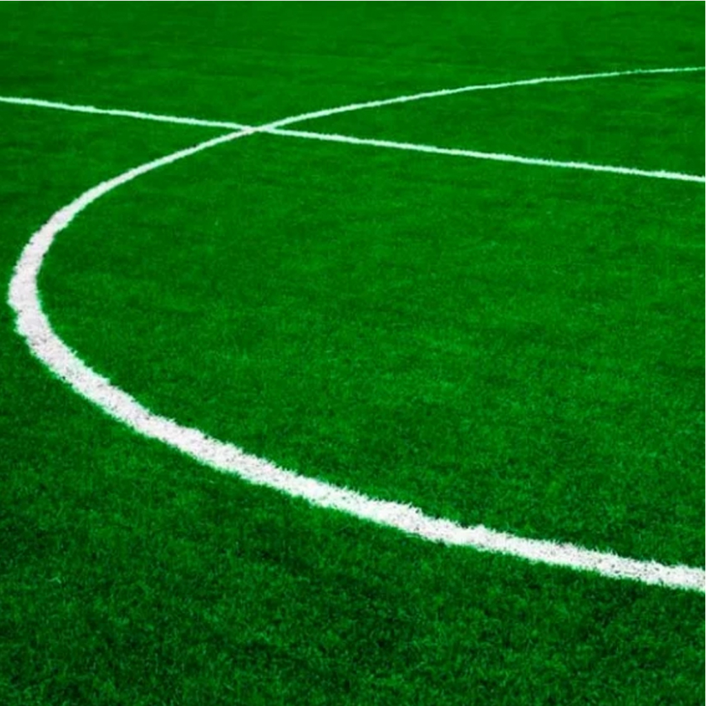 Газон Eurograss Спортивно-игровой DIY Sport 1 кг картон - придбати в ...