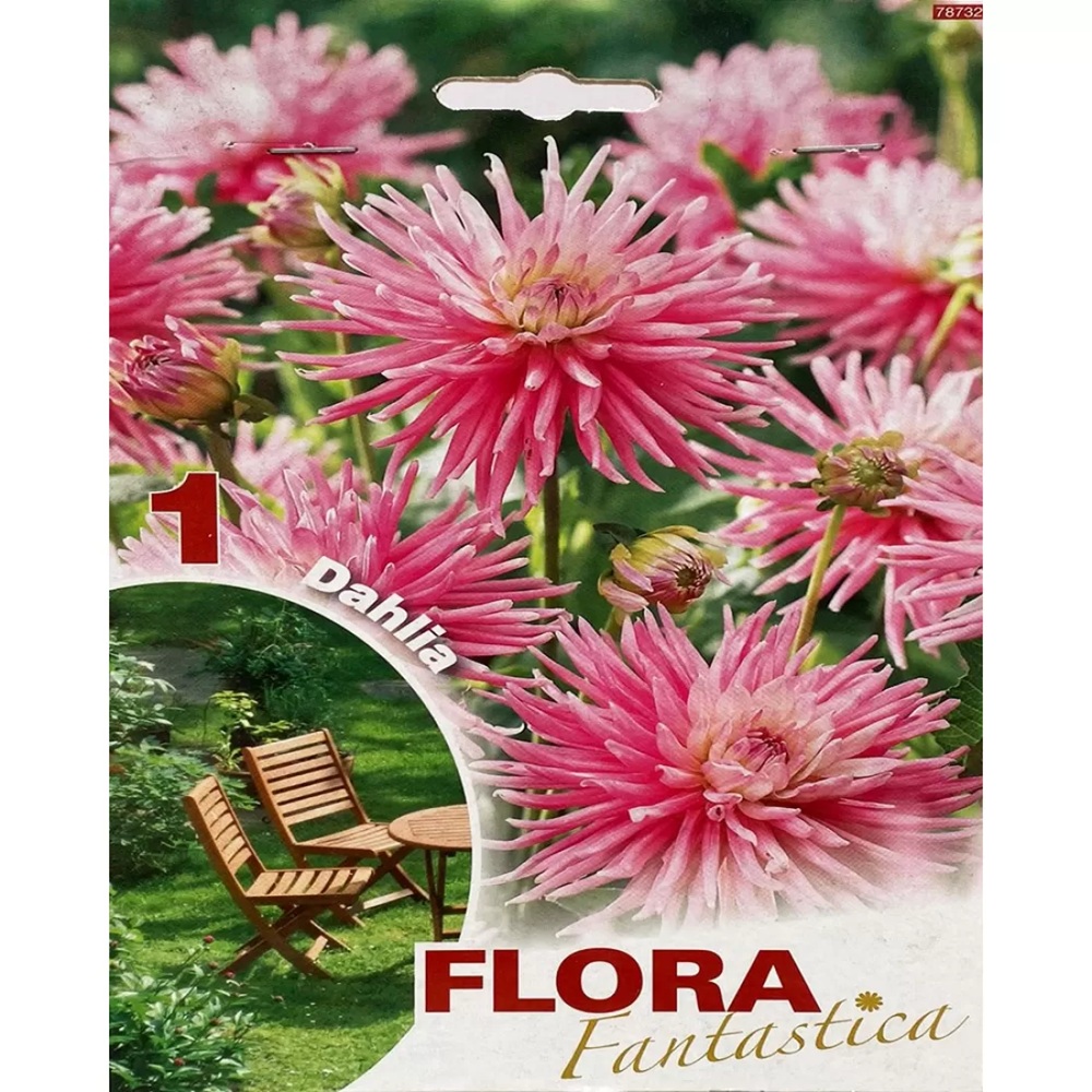 Бульби жоржини Украфлора Border Cactus Park Flora Fantastica 1 шт/уп